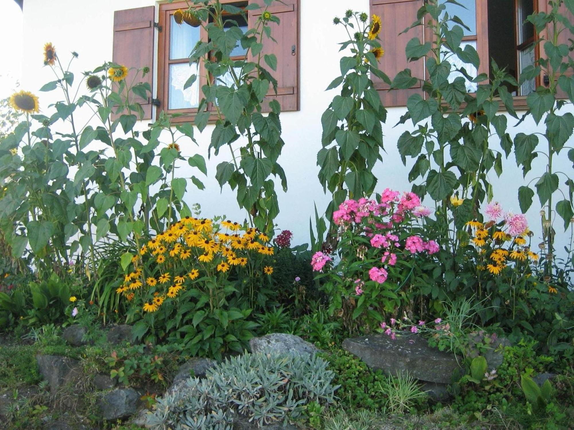 Apartment In The Allg U With View Of The Bavarian Alps Bernbeuren Exterior photo